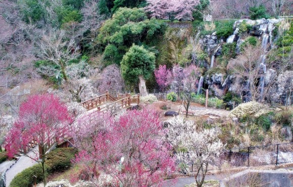 【熱海梅園】