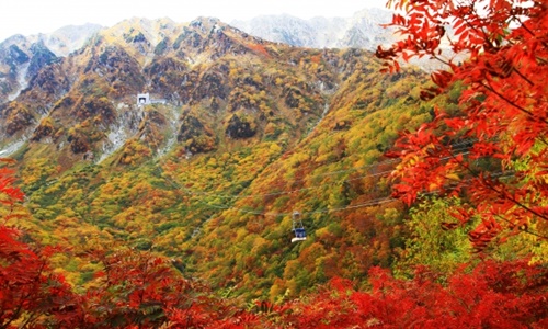 秋楓紅葉狩の旅～奧入瀨溪.銀山溫泉街.料理‧絕景‧飲料暢飲‧採果樂七日之旅BR2699