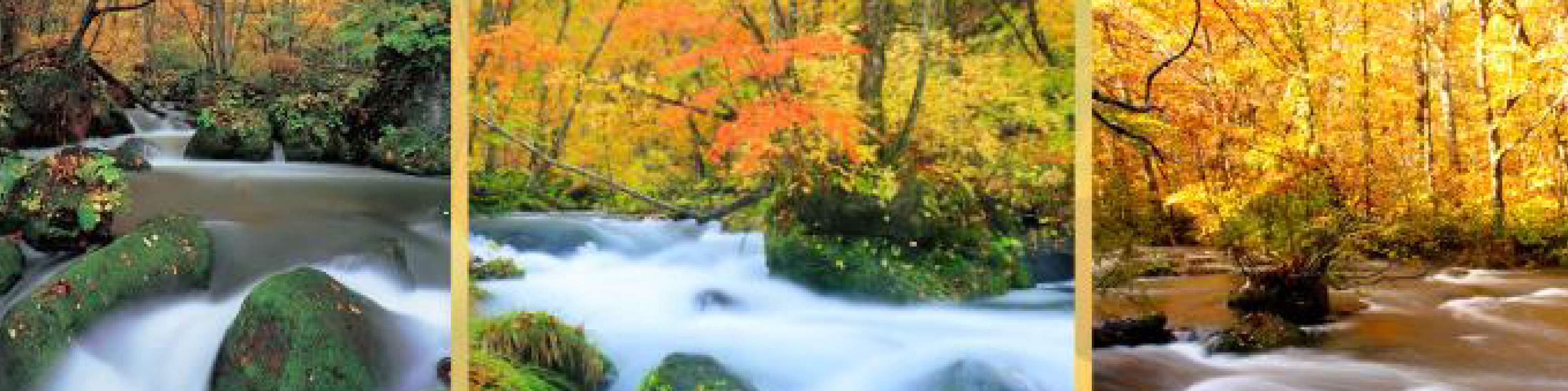 秋風紅葉～奧入瀨溪溫泉美食七日 BR