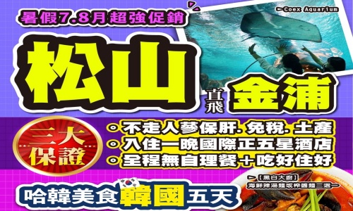 【松山出發.德威航空】《不走人蔘+保肝》哈韓美食浪漫首爾超級促銷(保證入住一晚國際五星酒店)~COCONUT BOX、普羅旺斯村、美人魚秀、星空圖書館、拉麵DIY體驗館、首爾明洞五天
