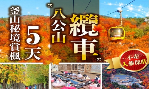 《不走人蔘+保肝店》釜山秘境賞楓季~八公山纜車、伽倻山海印寺、千年森林庭園、賞楓秘境咖啡廳(每人贈送一杯咖啡或飲料)、傳統韓式汗蒸幕、韓國傳統茶道+韓服體驗五天【玩足足五天】