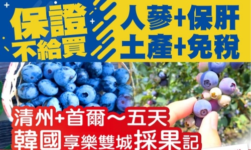 《不走人蔘+保肝+免稅店+土產店》韓國享樂雙城採果記~愛寶樂園(含門票+全日卷)、手作水果蛋糕DIY、傳統米果DIY+韓服體驗、採果趣、塗鴉秀、韓式美食饗宴五天【可依航空、桃園出發】