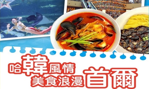 《不走人蔘+保肝店》哈韓風情美食浪漫首爾(入住一晚國際五星酒店)~愛寶樂園、(IG網紅打卡咖啡廳)(飲料一人一杯)、水原華城、COEX水族館+美人魚秀、拉麵DIY體驗館、明洞五天【台中出發】