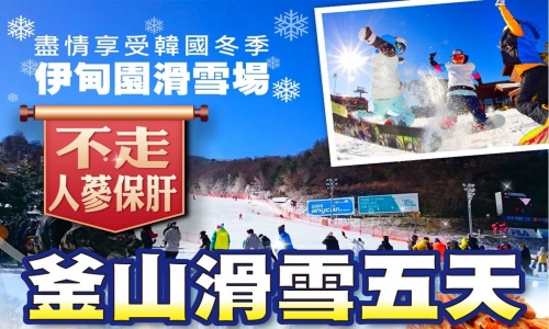 《保證不走人蔘+保肝店》漫天雪花釜山滑雪去(入住雪場渡假村一晚+五花酒店一晚+釜山五花酒店1晚)~伊甸園滑雪場、LUGE渠道滑車+纜車、泰迪熊博物館、汗蒸幕、E WORD五天【足足玩五天.桃園出發】