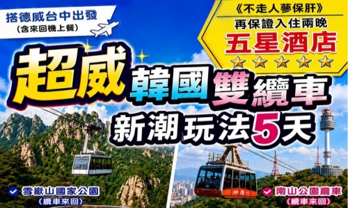 《不走人蔘+保肝店》超威五星韓國雙纜車新潮玩法(入住兩晚五星酒店)~雪嶽山國家公園、首爾明洞、南山公園纜車、水果大福DIY+韓服體驗網紅咖啡廳、塗鴉秀、北村韓屋村五天 【德威、含來回機上餐、台中出發】