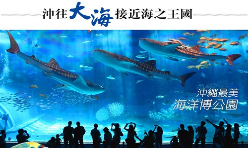 【VZ沖繩假期4D】瀨長島、嘉手納展望台、美國村、奧武山+沖宮、系滿市場、海洋博水族館-B團